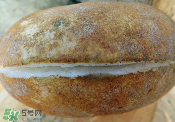 預知子果為什么種的人少？預知子和八月扎有區(qū)別嗎