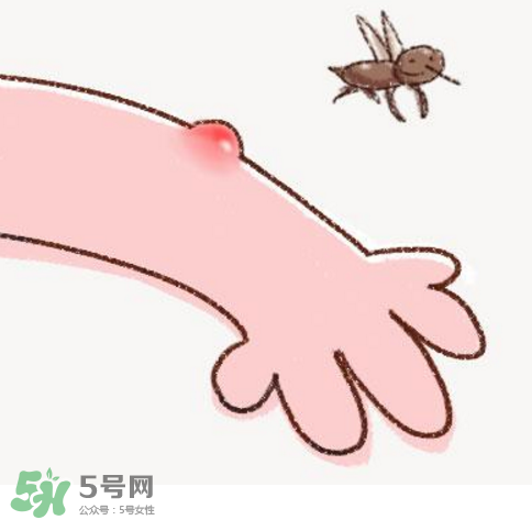 秋天有蚊子嗎？秋天有蚊子怎么辦？
