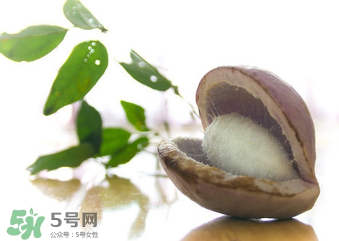 八月瓜的皮可以吃嗎？八月瓜的皮有什么功效