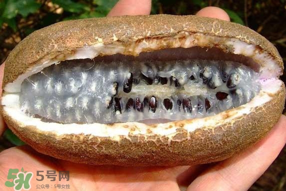 八月瓜能吃嗎？八月瓜到底有什么價(jià)值？
