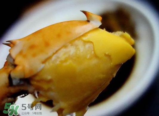 黃油蟹是什么蟹？黃油蟹多少錢一只