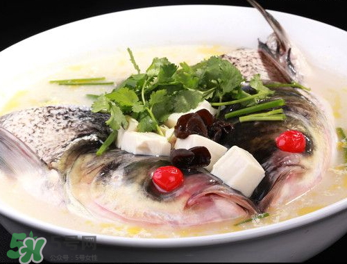 鰱魚頭湯孕婦可以吃嗎？鰱魚頭湯的功效與作用