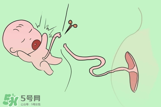 寶寶臍帶什么時候脫落？寶寶臍帶脫落后怎么護理？