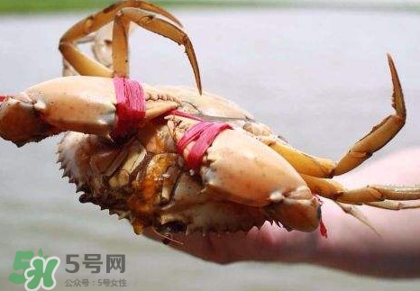 黃油蟹的選蟹標準是什么？黃油蟹的等級分類