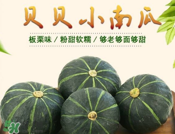貝貝南瓜蒸多久能吃？貝貝南瓜和普通南瓜有什么區(qū)別