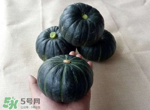 貝貝南瓜是哪里的？貝貝南瓜哪里產(chǎn)的