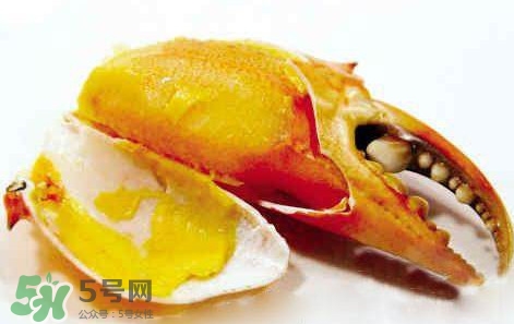 黃油蟹怎么保存？黃油蟹的營養(yǎng)價值