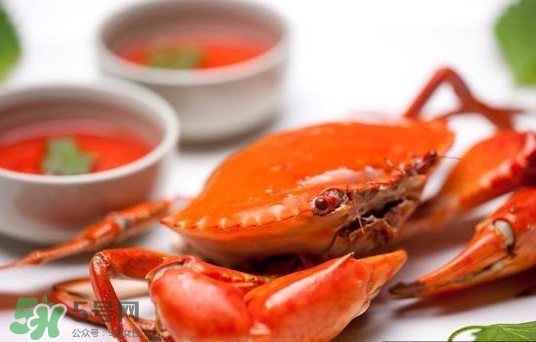 黃油蟹是海蟹嗎？黃油蟹是如何進(jìn)化的