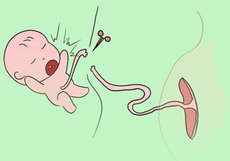 寶寶臍帶什么時(shí)候脫落？寶寶臍帶脫落后怎么護(hù)理？