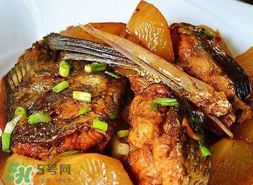 鱸魚可以紅燒嗎？鱸魚清蒸還是紅燒好吃？