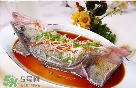 鱸魚為什么沒有刺？鱸魚為什么刺少？