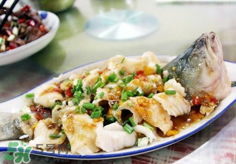 鱸魚為什么沒有刺？鱸魚為什么刺少？