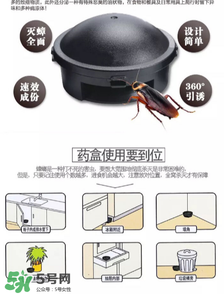日本蟑螂藥好用嗎？日本蟑螂藥效果評測