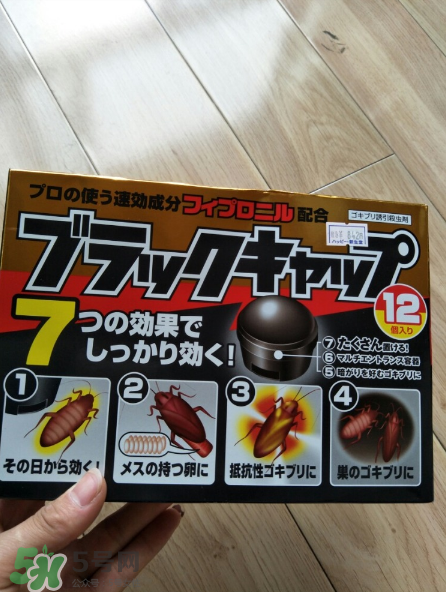 日本蟑螂藥哪里買得到？