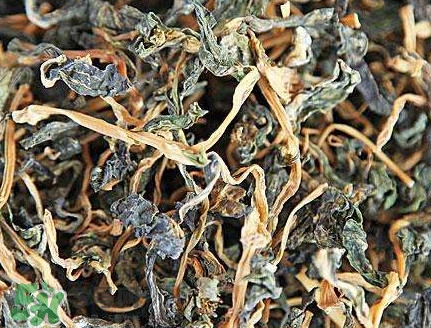 梅干菜有醬油嗎？梅干菜有營(yíng)養(yǎng)嗎