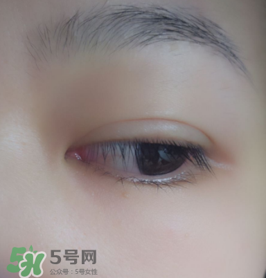 赫蓮娜旋翹至密睫毛膏貴不貴 多少錢(qián)