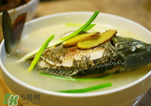 鯉魚(yú)湯怎么做好吃？鯉魚(yú)湯里面可以放什么？