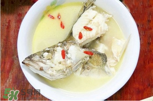 鯉魚(yú)湯怎么做好吃？鯉魚(yú)湯里面可以放什么？