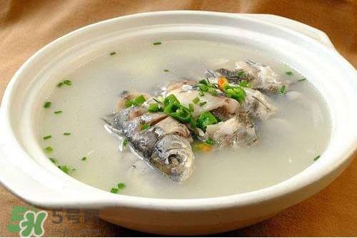 鯽魚湯下奶嗎？鯽魚湯的功效與作用