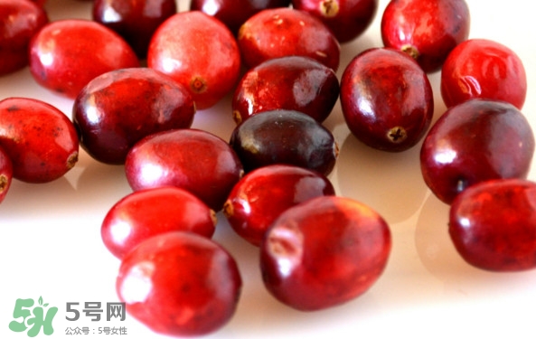 蔓越莓是藍莓嗎？蔓越莓是哪里產(chǎn)的