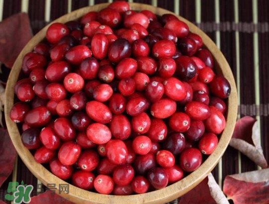 蔓越莓什么時(shí)候成熟？蔓越莓什么時(shí)候吃最好