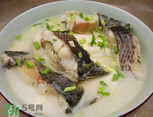 黑魚湯對傷口有好處嗎？黑魚湯的做法術(shù)后恢復(fù)