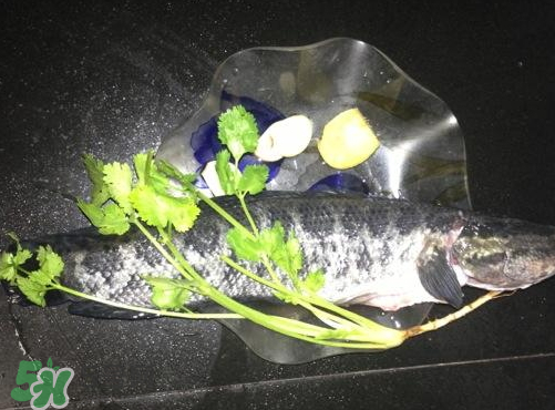 黑魚湯對傷口有好處嗎？黑魚湯的做法術(shù)后恢復(fù)