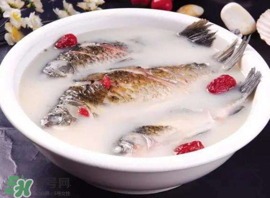 鯽魚湯里可以放什么菜最好？鯽魚燉湯放什么菜？