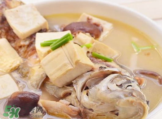 鯽魚湯可以放香菇嗎？香菇鯽魚湯的做法