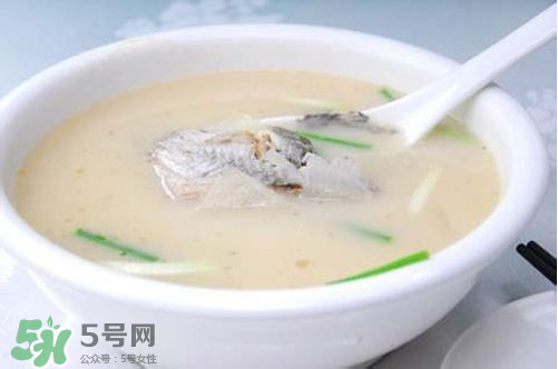 喝鯽魚(yú)湯會(huì)胖嗎？鯽魚(yú)湯可以經(jīng)常喝嗎？