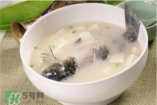 喝鯽魚(yú)湯會(huì)胖嗎？鯽魚(yú)湯可以經(jīng)常喝嗎？