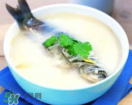 鯽魚湯可以放牛奶嗎？牛奶鯽魚湯的做法