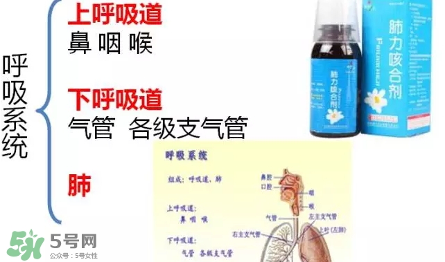 肺力咳合劑多少錢一瓶？