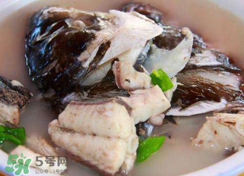 鰱魚(yú)湯怎么熬湯？鰱魚(yú)湯的功效與作用