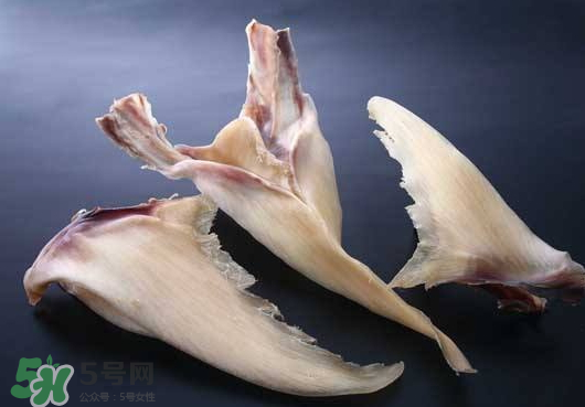 干魚翅怎么保存？魚翅可以放多久？