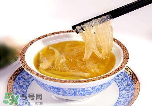 干魚翅怎么保存？魚翅可以放多久？