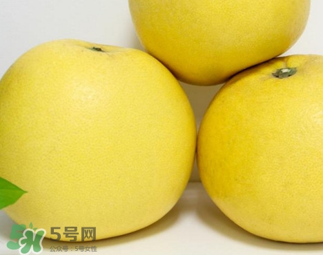 蜜柚是哪個季節(jié)的水果？蜜柚和沙田柚的區(qū)別是什么？