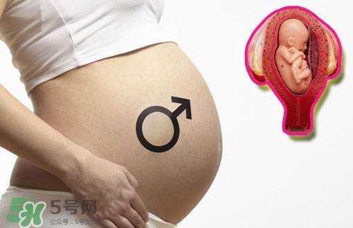 導(dǎo)樂分娩怎么樣？導(dǎo)樂分娩全過程