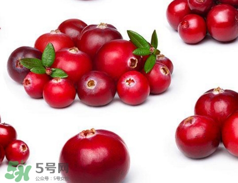 蔓越莓是藍莓嗎？蔓越莓是哪里產(chǎn)的