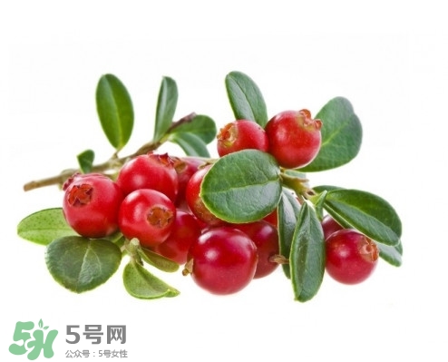 蔓越莓在中國有嗎？蔓越莓怎么辨別真假