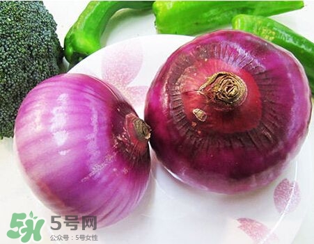 洋蔥狗狗能吃嗎？狗狗吃了洋蔥怎么辦？
