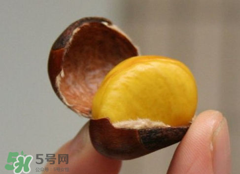 板栗用冷水還是熱水煮？煮板栗用冷水還是熱水？