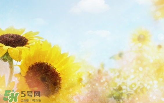 見(jiàn)封滾是什么意思？