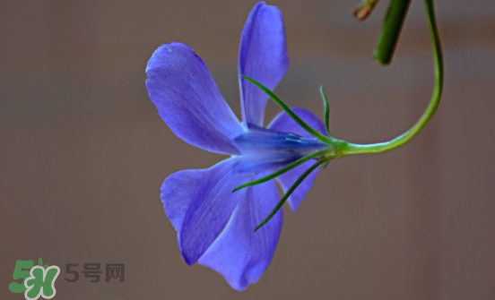 見(jiàn)封滾是什么意思？