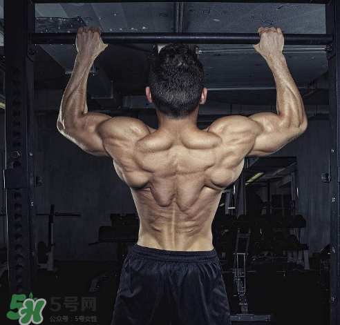 引體向上背部怎么發(fā)力？引體向上發(fā)力技巧