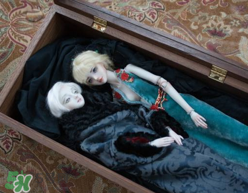 Enchanted Doll多少錢？Enchanted Doll哪里買？