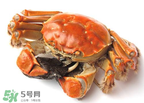 螃蟹里面有寄生蟲嗎？螃蟹有寄生蟲還可以吃嗎？