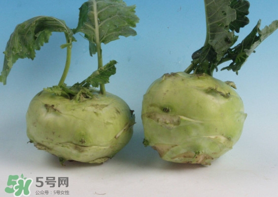 苤藍(lán)怎么讀？苤藍(lán)孕婦可以吃嗎