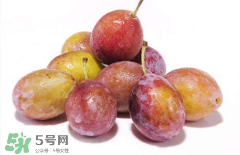 西梅可以放冰箱嗎？西梅放冰箱冷藏還是冷凍？