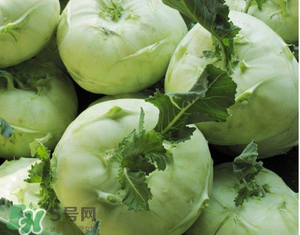 四川大頭菜學(xué)名叫什么？大頭菜又叫什么菜